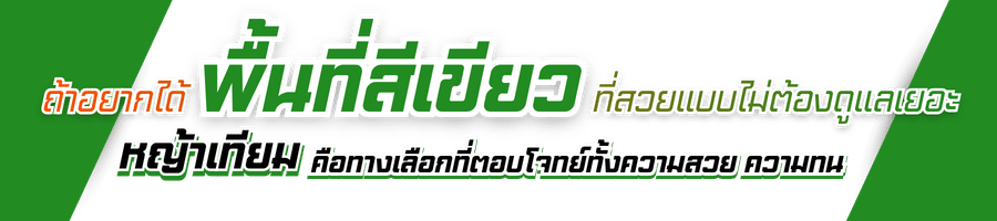 ร้านขายหญ้าเทียมแต่งสวน เกรดพรีเมี่ยม